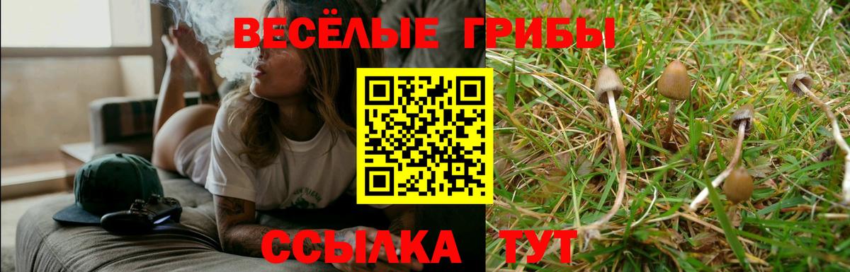 Галлюциногенные грибы MAGIC MUSHROOMS Клинцы