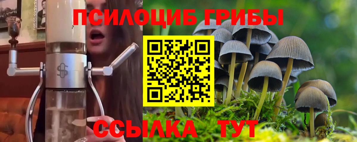 Псилоцибиновые грибы Psilocybine cubensis  Вход с VPN  Клинцы  Псилоцибиновые грибы ЛСД 